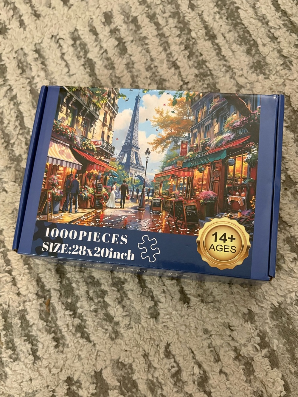 1000 piece puzzle of Paris France